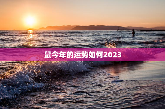 鼠今年的运势如何2023 鼠今年的运势如何2023