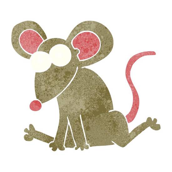 生肖鼠今日财运