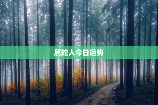 属蛇人今日运势