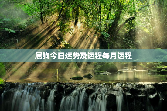 属狗今日运势及运程每月运程 属狗今日运势及运程每月运程