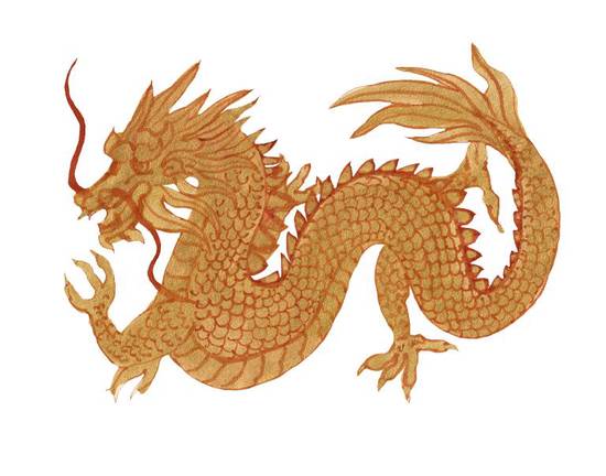 88年男龙的婚姻如何(88年属龙男婚姻状况探究) 88年男龙的婚姻如何(88年属龙男婚姻状况探究)