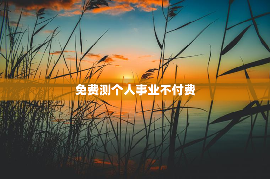 免费测个人事业不付费