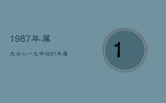 1987年属兔女人一生命运,87年属兔一生转折点 1987年属兔女人一生命运,87年属兔一生转折点