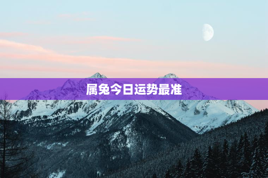 属兔今日运势最准