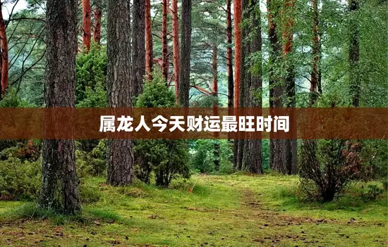 属龙人今天财运最旺时间