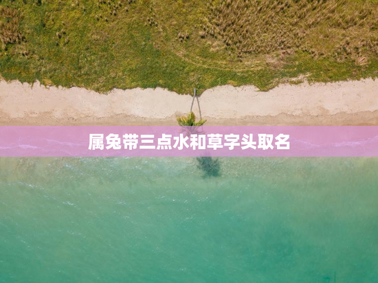 属兔带三点水和草字头取名