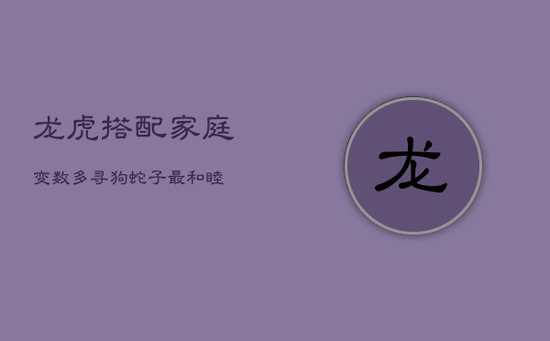 龙虎搭配,家庭变数多,寻狗蛇子最和睦 龙虎搭配,家庭变数多,寻狗蛇子最和睦