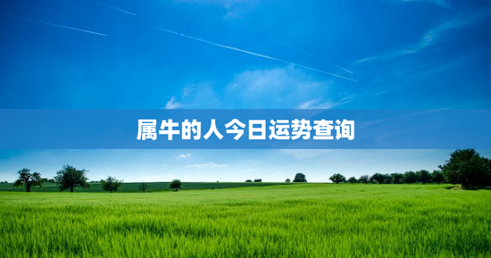 属牛的人今日运势查询 属牛的人今日运势查询