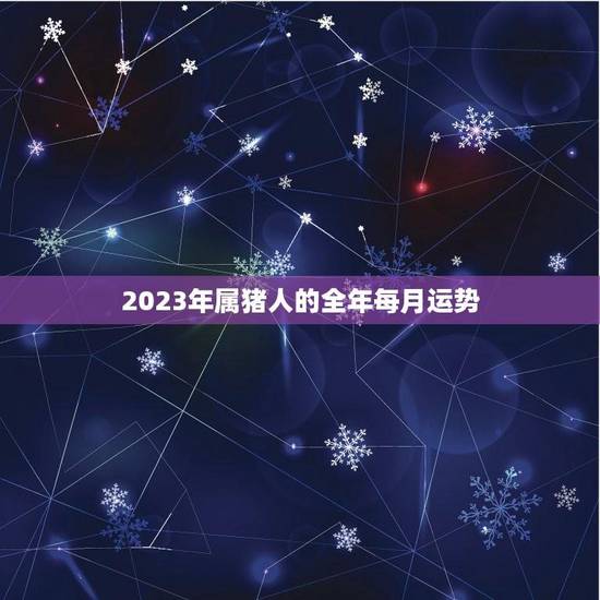 2023年属猪人的全年每月运势(猪年好运连连)
