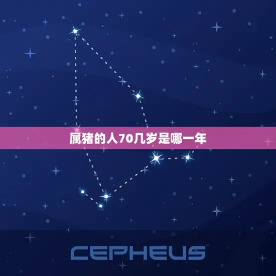 属猪的人70几岁是哪一年