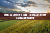 属鼠2023年运势及运程，属鼠2023年运势及运程2008年出生