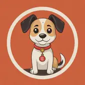 82年狗五行缺什么戴什么化解：五行生肖与五行搭配