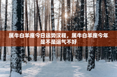 属牛白羊座今日运势汉程，属牛白羊座今年是不是运气不好