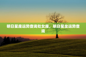 明日星座运势查询处女座，明日星坐运势查询