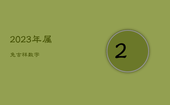 2023年属兔吉祥数字，2023年属兔的视频