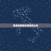 属兔和属猴的婚姻怎么样(十二生肖中兔和猴的姻缘分析)