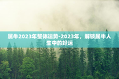 属牛2023年整体运势-2023年，解锁属牛人生中的好运