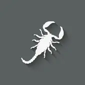 天蝎女和射手男床上绝配(性爱技巧大揭秘)