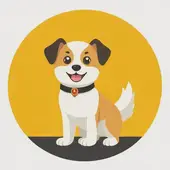 2025属狗人的全年运势详解