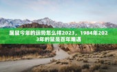 属鼠今年的运势怎么样2023，1984年2023年的鼠是百年难遇