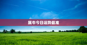 属牛今日运势最准，属牛今日运势查询神巴巴