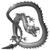 零零年龙今年命运怎么样（ 2000年属龙人今年命运展望）