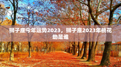 狮子座今年运势2023，狮子座2023年桃花劫是谁