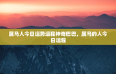 属马人今日运势运程神奇巴巴，属马的人今日运程