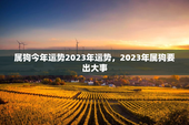 属狗今年运势2023年运势，2023年属狗要出大事