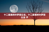 十二星座的叶罗丽公主，十二星座的叶罗丽公主 子