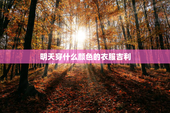 明天穿什么颜色的衣服吉利，明天穿什么颜色的衣服吉利五行