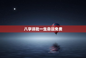 八字详批一生命运免费