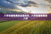 八字合婚免费测试麦玲玲，八字合婚免费测八字