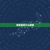 兔配偶是什么属相？(介绍十二生肖配对中兔子搭档)