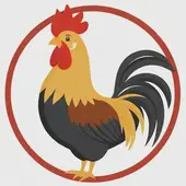 属鸡三合和三冲属相婚配好吗：属鸡生肖相合