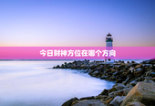 今日财神方位在哪个方向，今日财神方位在哪个方向如何评价品诺王老师