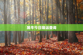 属牛今日赌运查询，属牛今日财运和运势