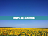 属猴的2023年有丧事吗，1980属猴2023婚外情