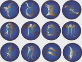 属猴的今年多大的今年多少岁