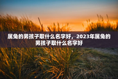 属兔的男孩子取什么名字好，2023年属兔的男孩子取什么名字好
