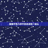 属相不合八字不合还该在一起么(如何应对星座配对的问题)