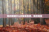 我的婚姻什么时候来免费，我的婚姻