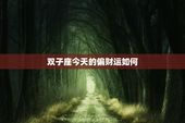 双子座今天的偏财运如何，双子座今日偏财运运势