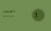 1985属牛38岁运气如何，1985属牛38岁运气如何属牛女在2023年的运势如何