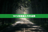 1972年属鼠人今天运势，2023年属鼠要出大事