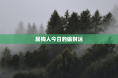 属狗人今日的偏财运，属狗人今日的偏财运怎么样