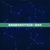 属兔和属羊的可不可以在一起合作(讨论生肖配对与合作关系)