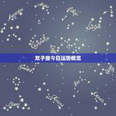 双子星座今日运势网(解读好运连连)