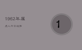 1962年属虎人今日运势，1962属虎的今年运势