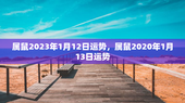 属鼠2023年1月12日运势，属鼠2020年1月13日运势